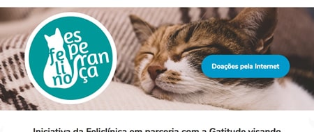 Site criado para Projeto Felino Esperança